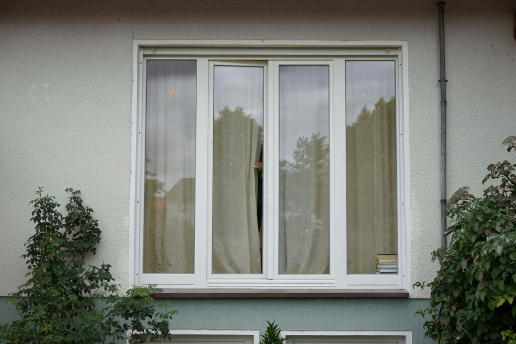 Window with Shrubs