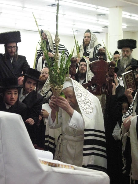 Image 20 sur 24 pour Rebbe Tosher (Rebbe Meshulim Feish Lowy) - Résidence