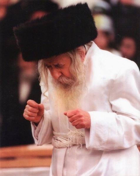 Image 23 sur 24 pour Rebbe Tosher (Rebbe Meshulim Feish Lowy) - Résidence
