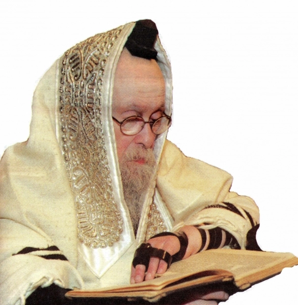 Image 20 of 26 for Puper Rav – Congregation Chassidim Belz