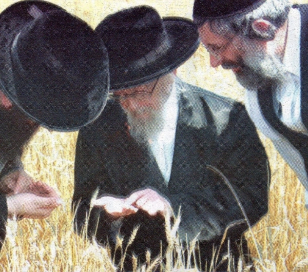Image 6 of 26 for Puper Rav – Congregation Chassidim Belz