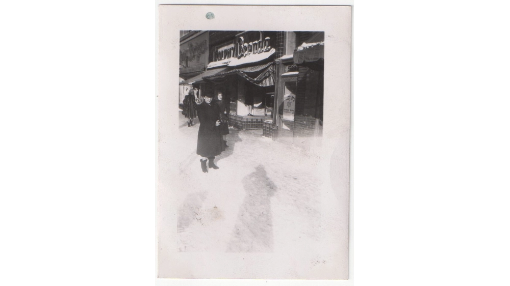 Image 4