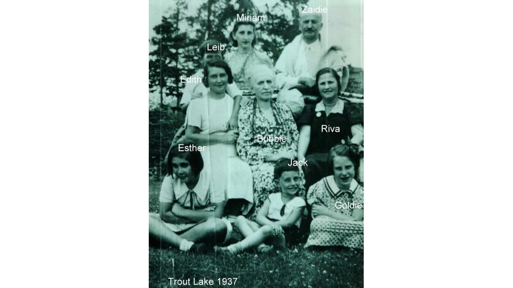 Image 4